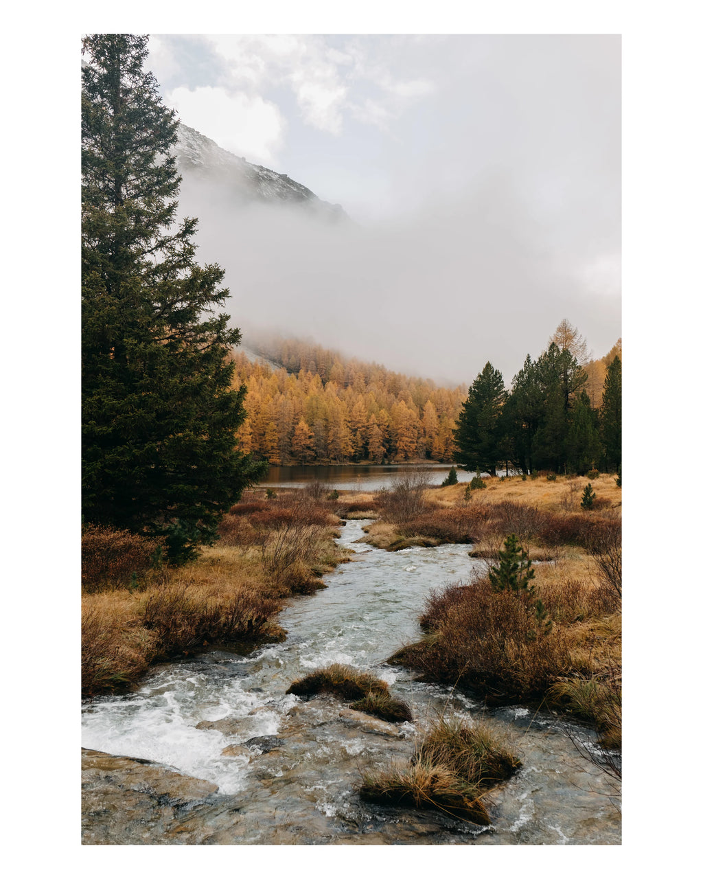 Wasserstrom an einem nebligen Tag im Waldgebiet