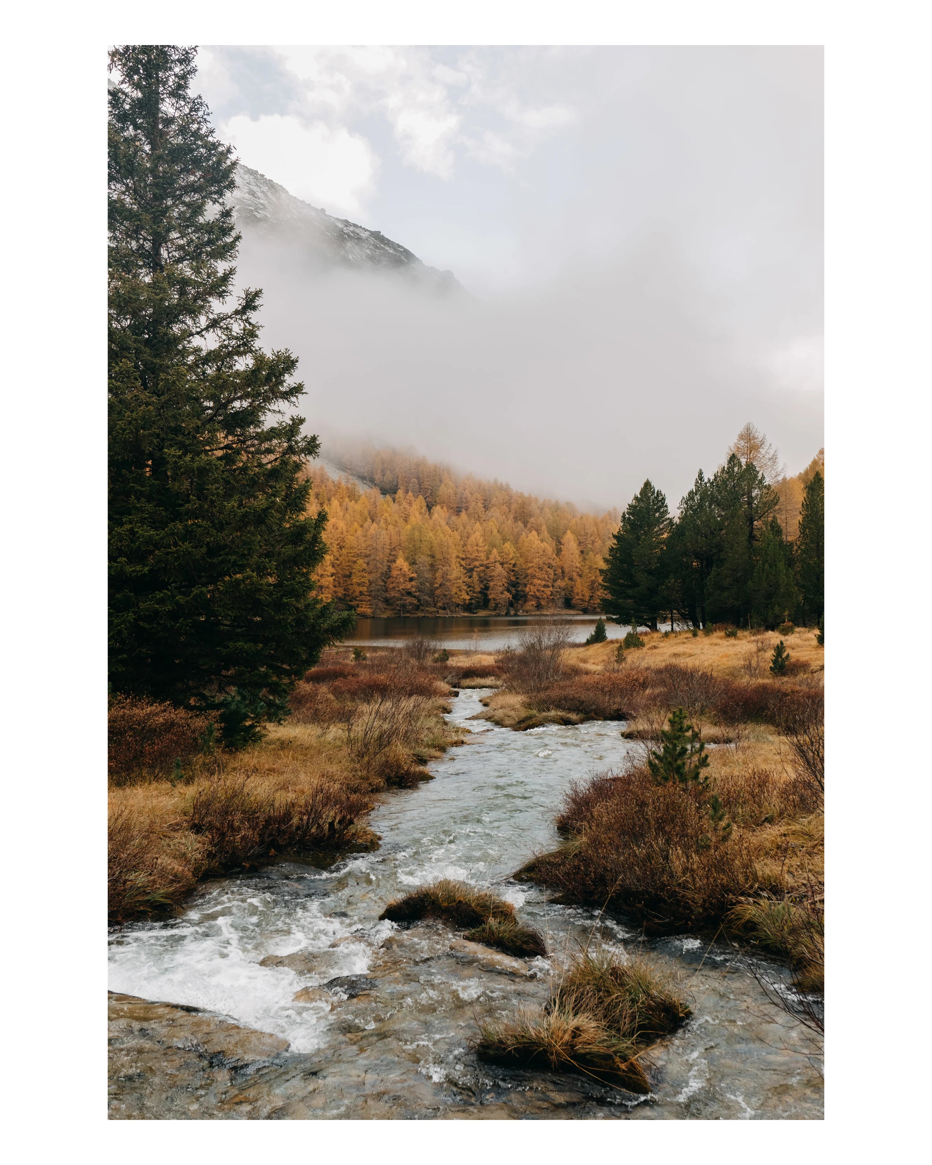 Wasserstrom an einem nebligen Tag im Waldgebiet